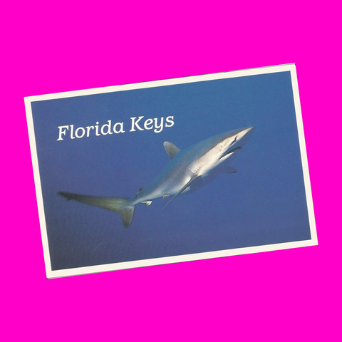 USA - Florida - Florida Keys Postcard - More Styles!