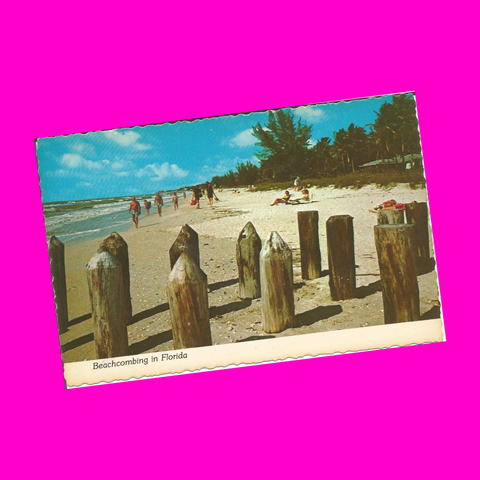 USA - Florida - Beach Party Postcard