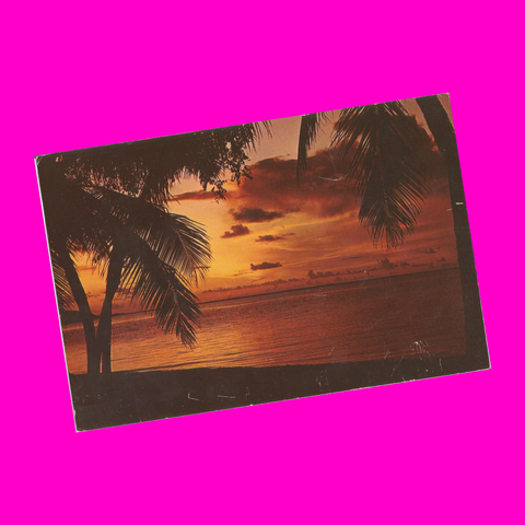 USA - Florida - Tropical Sunset Postcard